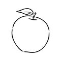 Apple fruit vector illustration. Engraved organic food hand drawn sketch engraving illustration. Black white apple Royalty Free Stock Photo