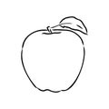 Apple fruit vector illustration. Engraved organic food hand drawn sketch engraving illustration. Black white apple Royalty Free Stock Photo