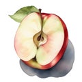 Apple fruit watercolor illustration