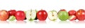 Apple fruits apples border in a row isolated Royalty Free Stock Photo