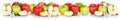 Apple fruits collection banner red and green apples fruit isolated on white in a row