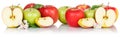 Apple fruits red and green apples fresh fruit isolated on white in a row Royalty Free Stock Photo