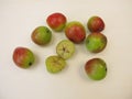 Apple fruits from the service tree