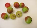 Apple fruits from the service tree