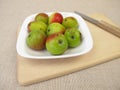 Apple fruits from the sorb tree