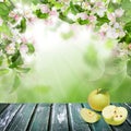 Apple fruits on wooden board against abstract background with green leaves and flowers Royalty Free Stock Photo