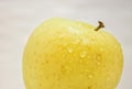 Apple fud yellow Royalty Free Stock Photo