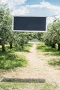 Apple garden green background. Summer and autumn sesonal. plate for text on rope. apple trees in rows. harvest