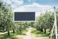 Apple garden green background. Summer and autumn sesonal. plate for text on rope. apple trees in rows. harvest