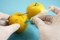 apple in genetic engineering laboratory with syringe Royalty Free Stock Photo