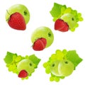 Apple, grape, health different assorted refreshment strawberry is isolated on a background