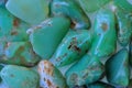 Apple Green Australian Chrysoprase tumbled stones