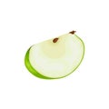 Apple. A green apple in a section. Ripe garden fruit. Vector illustration isolated on a white background Royalty Free Stock Photo