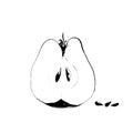 Apple hand draw illustation, black ink line drawing. Tree seeds and half of fruit isolated on white background