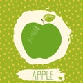 Apple hand drawn sketched fruit with leaf on blue background with dots pattern. Doodle vector apple for logo, label, brand identit