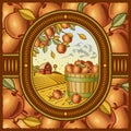 Apple harvest Royalty Free Stock Photo