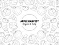 Apple Harvest Banner Template Organic and Tasty Natural Fresh Fruits Hand Drawn Vector Illustration Royalty Free Stock Photo