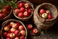 Apple harvest, baskets with red apples. Royalty Free Stock Photo