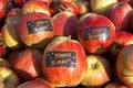 Apple harvest, Betuwe, with Merry X-mas stickers