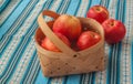 Apple harvest Idared Royalty Free Stock Photo