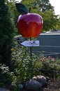 Apple Harvest in the Old Country, Lower Saxony