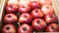 Apple has been sold in supermarkets