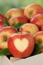 Apple with heart in a box in autumn love topic