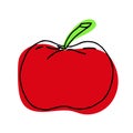 Apple icon, freehand drawing linear style, vector. Vector illustration in doodle style an apple. Simple clipart of