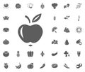 Apple icon. Fruit and Vegetables vector illustration icon set. food and plant symbols. Royalty Free Stock Photo