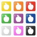 Apple icon set 9 color isolated on white. Collection of glossy square colorful buttons with apple. Vector illustration for design Royalty Free Stock Photo