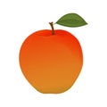 Apple icon simple, colored, for logo. Dessert, fruit food, icon for web, gradient