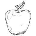 Apple icon. Vector apple with leaf Royalty Free Stock Photo