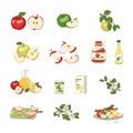 Apple icons set. Whole fruit and half with seed and leaf Royalty Free Stock Photo