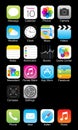 Apple iphone icon