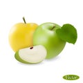 Apple isolated on a white background. Realistic fruit. Macro icon juicy apples. Sweet fruits. Royalty Free Stock Photo