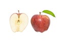 Apple and its cross-section Royalty Free Stock Photo
