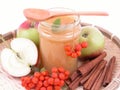 Apple jam Royalty Free Stock Photo