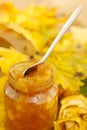 Apple jam Royalty Free Stock Photo