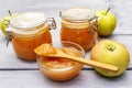 Apple jam, confiture, chutney in a glass jar Royalty Free Stock Photo
