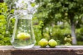 Apple juice with apple inside cup Royalty Free Stock Photo