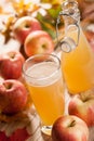 Apple juice, apples and maple leaves Royalty Free Stock Photo