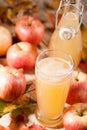 Apple juice, apples and maple leaves Royalty Free Stock Photo