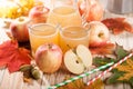 Apple juice, apples and maple leaves Royalty Free Stock Photo