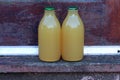 Apple juice bottles Royalty Free Stock Photo