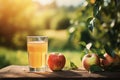 Apple and apple juice, fruit, drink and food