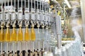Apple juice in glass bottles in a factory for the food industry - bottling and transport