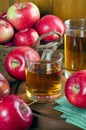 Apple juice in glasses and ripe apples Royalty Free Stock Photo