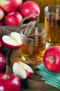 Apple juice in glasses and ripe red apples Royalty Free Stock Photo