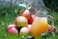 Apple juice Royalty Free Stock Photo