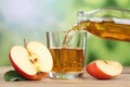 Apple juice pouring from red apples into a glass Royalty Free Stock Photo